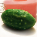 Vegetables Silicone Molds Collection for Candles and Crafts