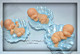 Silicone mold - Baby in a shell №2 - for making soaps, candles and figurines