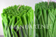 Silicone mold - Grass 3D - for making soaps, candles and figurines