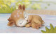 Silicone mold - Sleeping fawn - for making soaps, candles and figurines