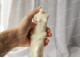 Silicone mold - Big Venus de Milo, Aphrodite 3D - for making soaps, candles and figurines