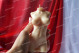 Silicone mold - BIG female torso 3D - for making soaps, candles and figurines