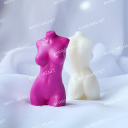 MINI Female torso #8 3D