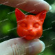 Silicone mold - MINI Mystical cat head 3D - for making soaps, candles and figurines