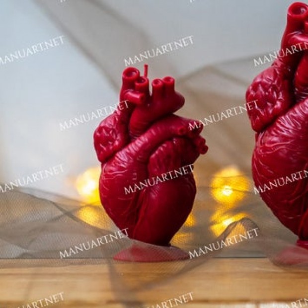 Silicone mold - Anatomical human heart 10 cm / 4" - for making soaps, candles and figurines