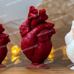 Silicone mold - Anatomical human heart 10 cm / 4" - for making soaps, candles and figurines