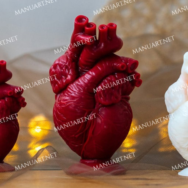 Silicone mold - Anatomical human heart 13 cm / 5" - for making soaps, candles and figurines