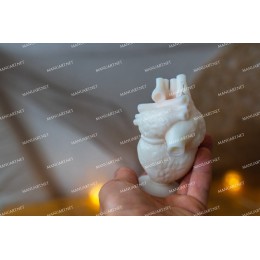 Silicone mold - Anatomical human heart 13 cm / 5" - for making soaps, candles and figurines
