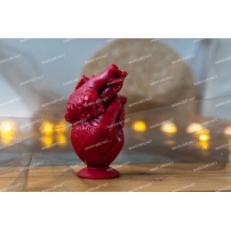 Silicone mold - Anatomical human heart 13 cm / 5" - for making soaps, candles and figurines