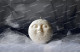 Silicone mold - BIG Full moon sphere with face 3D - for making soaps, candles and figurines