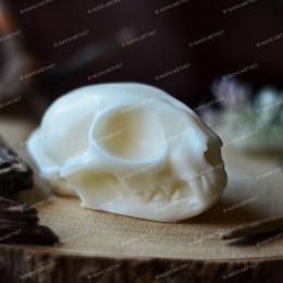 Сat skull real size 