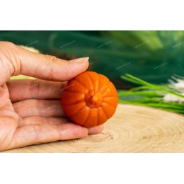Silicone mold - Little pumpkin #4 - for making soaps, candles and figurines