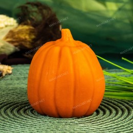 Pumpkin #5