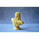 Silicone mold - Zeus bust 13cm - for making soaps, candles and figurines