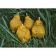 Silicone mold - Little chicken 3D №2 - for making soaps, candles and figurines