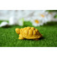 Silicone mold - Little Turtle