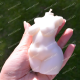 Plus Size Woman Torso mold for candle making, resin goddess silicone mould, 100mm/4inch