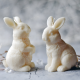 Standing Rabbit Mold for Candles, Soap, Resin and Chocolate - Easter Bunny Silicone Mould