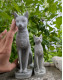 Bastet Cat 130mm - silicone mold, bastet mold, egyptian cat mold, pillar candle mold, 3D silicone molds, goddess mold, mystical, occult, spiritual