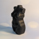 2D Plus Size Woman Body Mold for Plaster and Soap - torso candle silicone mould