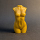2D Female Torso Mold for Plaster, Soap, Chocolate, Wax and Resin - Goddess Silicone Mould