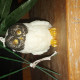 Verified Buyer - Kassydih