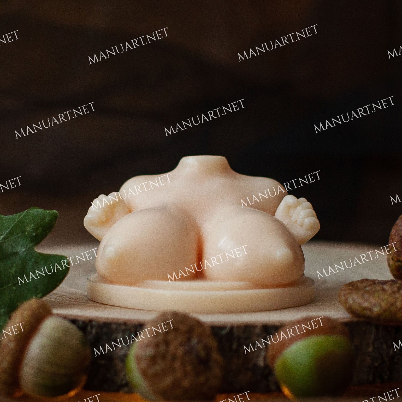 💚 Silicone mold Small breasts female torso 3D 💚