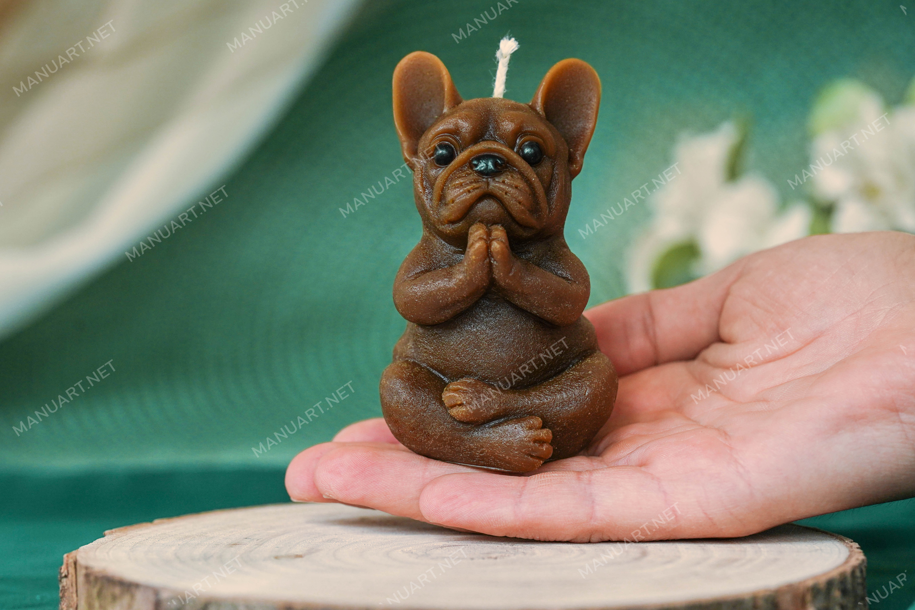 Review of the Le Dogue Silicone Molds - A Walk with Bernie